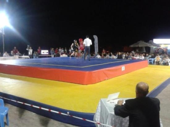 19 Mayıs Wushu Takımı Batman'da Övgü Aldı