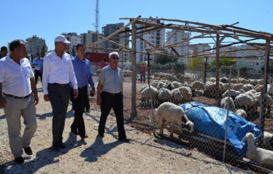 Mezitli Belediyesi Bayrama Hazır