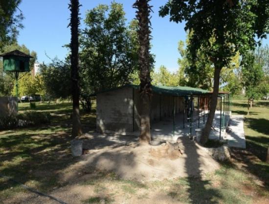 Büyükşehir Sokak Kedilerine Sahip Çıkıyor