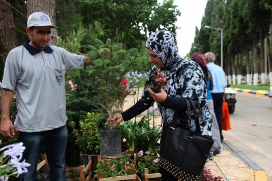 Büyükşehir Mezarlıkta 7 Bin Adet Fidan Dağıtacak