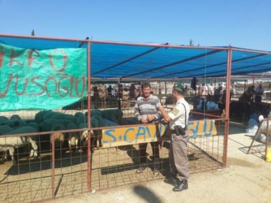 Alanya'da Jandarma Kurban Satıcılarını Uyardı