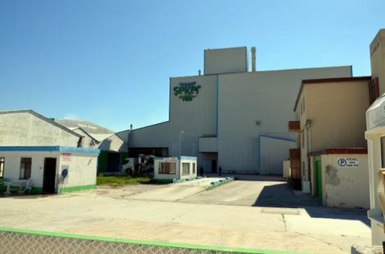 Şeker Piliç'e Haciz Şoku