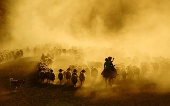 Bitlisli Fotoğraf Sanatçısı Uluslararası Yarışmada 3'ncü Oldu