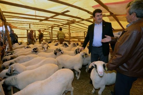 Başkan Dündar Kurban Satış Yerlerini Gezdi