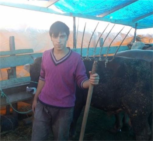 (özel Haber) Kurbanlığı Çalınan Satıcıdan 'dirgenli' Gece Nöbeti