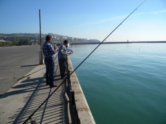 Tekirdağlıların Kefal Sevinci