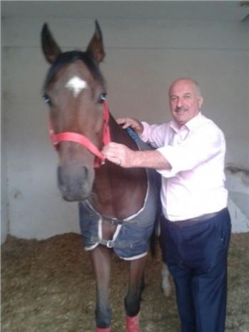 Hediye Atın Bakımı Karar Kara Düşündürüyor