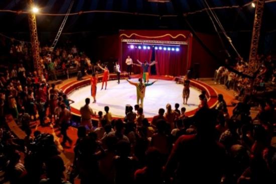 Dünyaca Ünlü Avrasya Sirki Bayramda Şanlıurfa'da