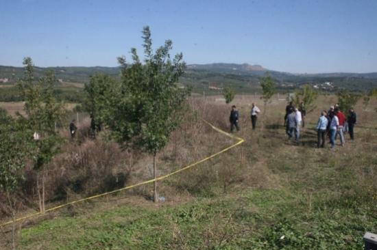 Otobanda Parçalanmış Ceset Bulundu