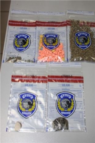 Tokat'ta Bonzai Ele Geçirildi