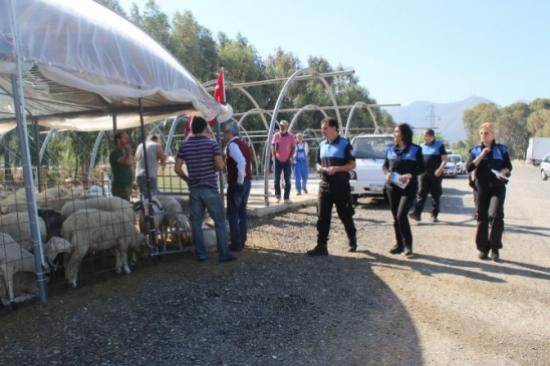 (özel Haber) Kurbanlıkları Satamayan Üreticilerden İlginç Sahte Para Yorumu: