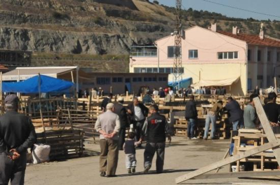 Bozüyük Belediyesi'nden Ücretsiz Kesim