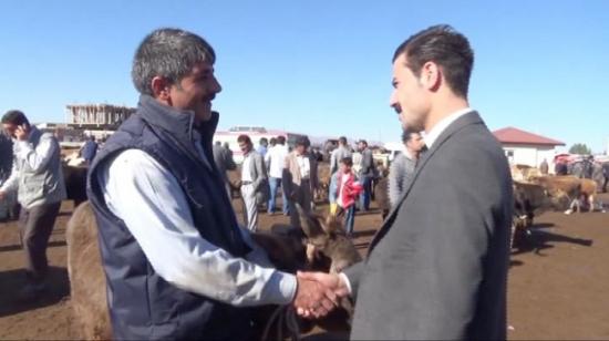 Ağrı'dan Sevk Edilen Kurbanlıktan 182 Milyon Tl Gelir Bekleniyor