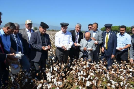 Söke'de '2014 Pamuk Hasat Sezonuna Merhaba' Etkinliği