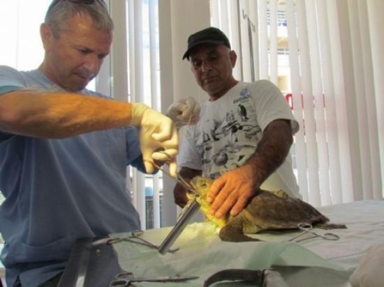 Balıkçılara Paragat İğnesi Uyarısı