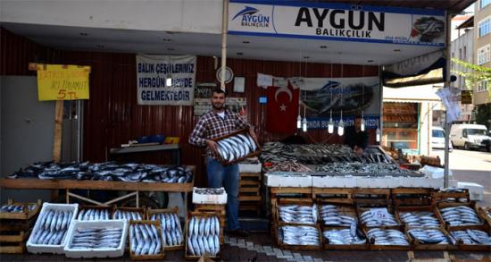 Denizlerde balık bereketi!