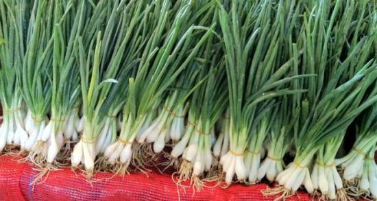 Yeşil soğan zam şampiyonu!