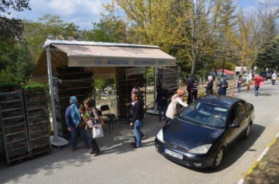 Bozüyük Belediyesi'nden Kabir Ziyaretine Gelenlere Çiçek Ve Çam Fidanı