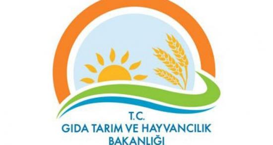 'Rusya ile anlaşıldı'!