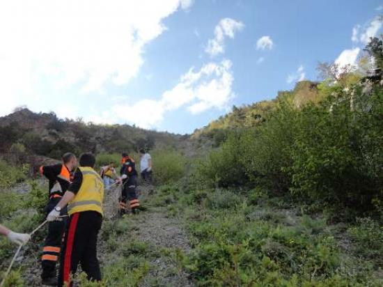 Çaşur Toplarken Canından Oldu