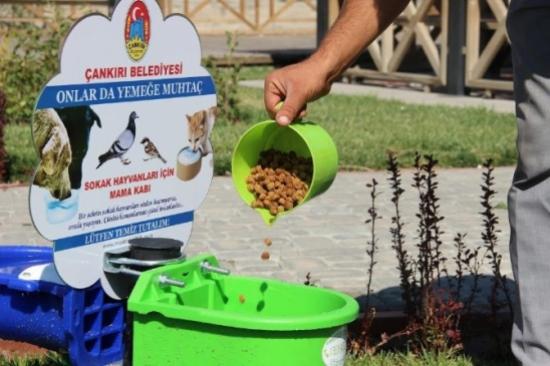 Sokak Hayvanları Aç Susuz Kalmayacak