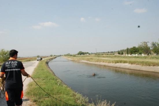 Suriyeli Çoban Sulama Kanalında Boğuldu