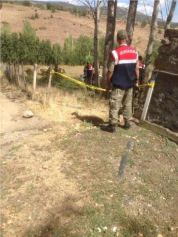 Bahçede Meyve Toplayan Ağabeyini Ayı Zannederek Öldürdü