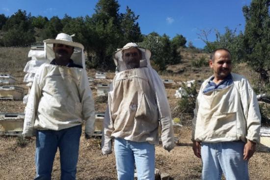 Kelkit'te Bal Hasadı Başladı
