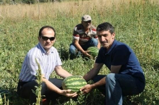 Bayburt'ta Kavun Karpuz Hasadı Yüz Güldürüyor