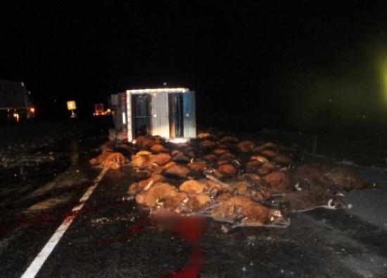 Kars'ta Tır Şarampole Uçtu