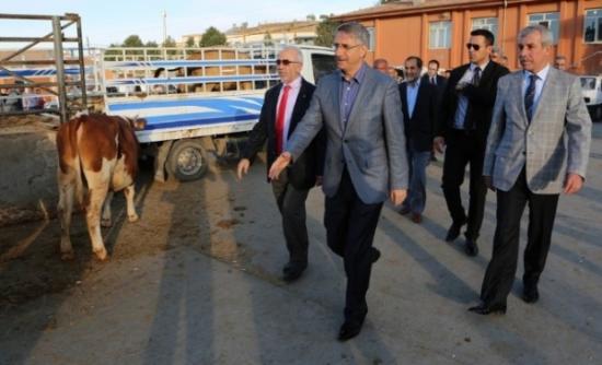 Elazığ'da 8 Ayrı Yerde Kurban Satış Yeri Oluşturuldu