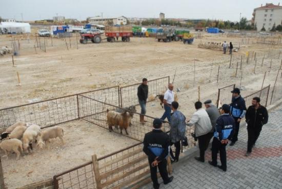 Karaman'da Kurban Satış Ve Kesim Yerleri Belirlendi