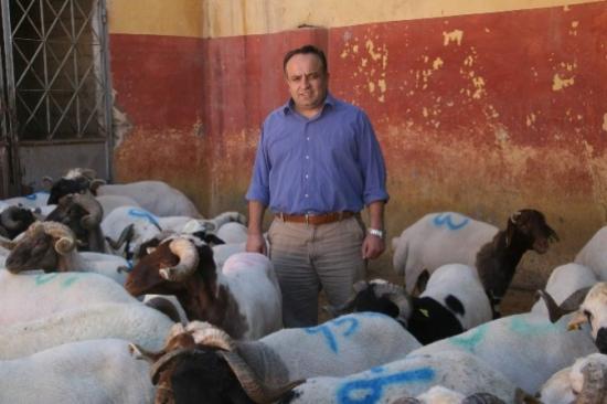 Kurbanlık Hayvan Alımında Nelere Dikkat Edilmelidir?