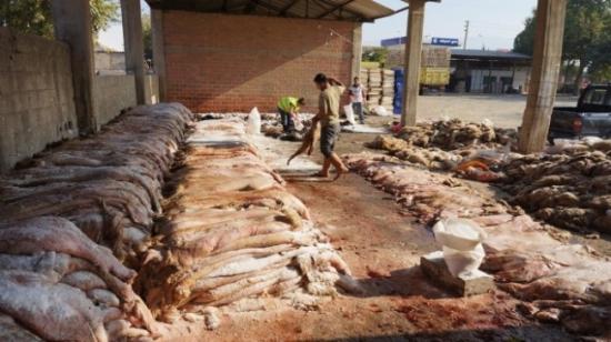 Küplemez: ''yanlış Yüzülen Kurban Derisi Ekonomik Kayıplara Yol Açıyor''