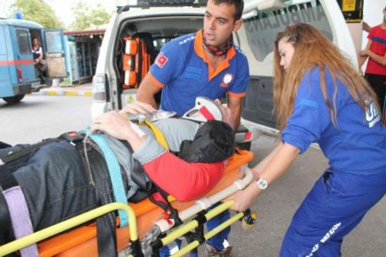 Ağaç Kanadalı Turistin Hayatını Kurtardı