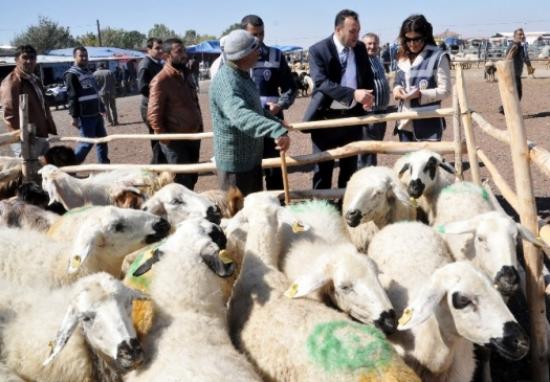Polis Hayvan Pazarında Sahte Para Eğitimi Verdi