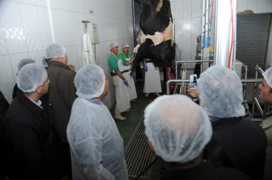 Komek'ten Kurban Kesim Kursu