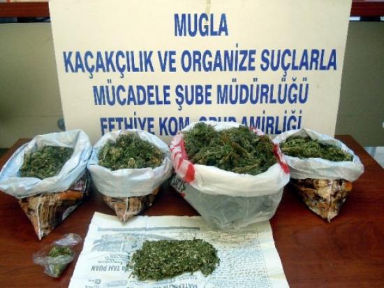 Muğla'da Uyuşturucu Operasyonları