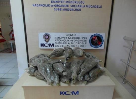 Uşak'ta 6 Kilo Esrar Ele Geçirildi