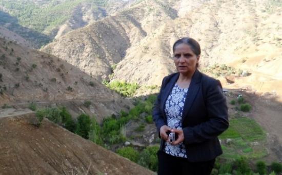 Kulp Belediyesi Kapanan Yolları Açmak İçin Çalışma Başlattı