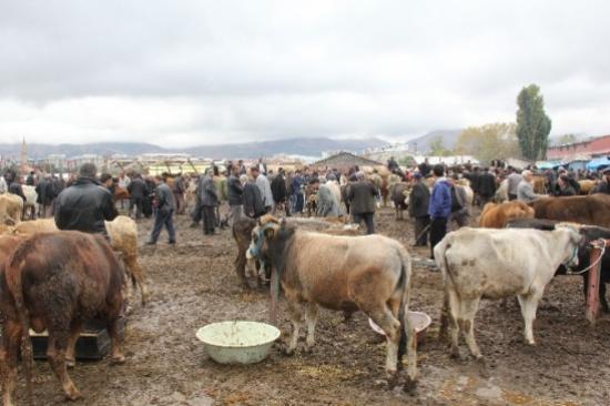 Yağmur Nedeniyle Çamur Deryasına Dönen Hayvan Pazarında Kurban Satıcıları Üzgün