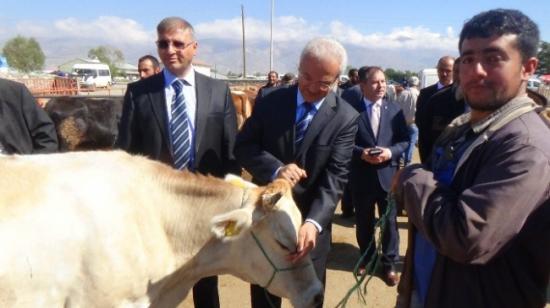 Başkan Başsoy Hayvan Pazarı Ve Mezbahanede İncelemelerde Bulundu
