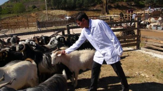 Bilecik Belediyesi'nden Hayvan Pazarında Denetim