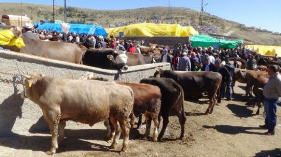 Yozgat'ta Kurbanlık Satışı Hızlandı