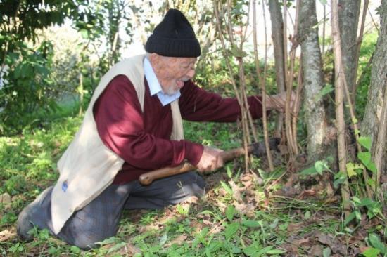 Giresun'da Uzun Yaşamanın Sırrı