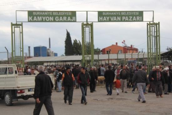 Burhaniye Hayvan Pazarı'nda Sıkı Denetim
