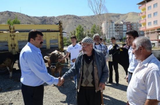 Darende Hayvan Pazarı'nda Hareketlilik