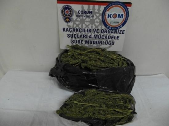 Çorum Polisinden Uyuşturucu Operasyonu