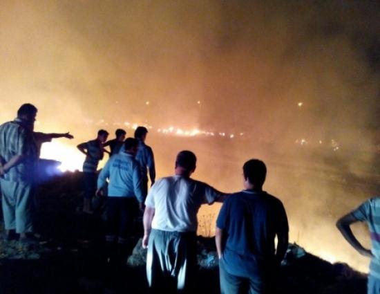 Demre'de Çıkan Yangın Paniğe Neden Oldu