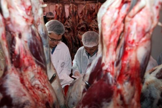 Yenimahalle Belediyesi'nden Kurban Uyarısı